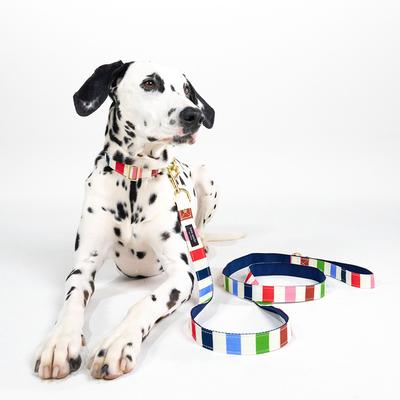 Leash (S/M), Adventure Stripe