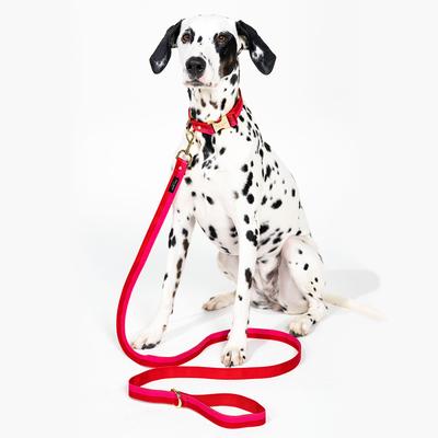 Leash (M/L), Colorblock Red/Pink