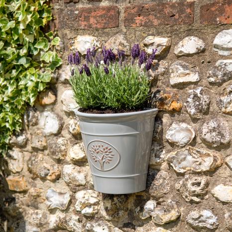 Blenheim Wall Pot - Grey