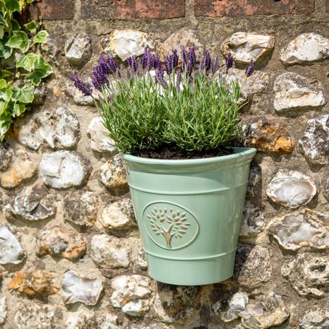 Blenheim Wall Pot - Green