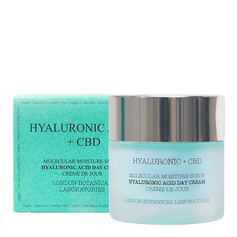 Hyaluronic Acid + Cbd | Molecular Moisture Surge Hyaluronic Acid Day Cream 50ml