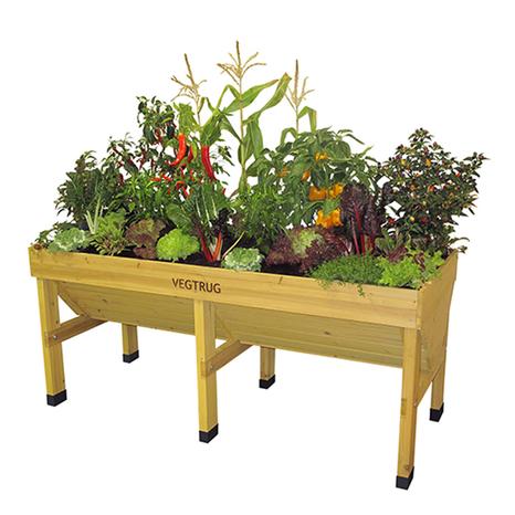 Medium Classic VegTrug, Natural