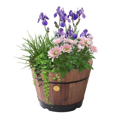 Build A Barrel by VegTrug, Small 37cm, Dark Brown
