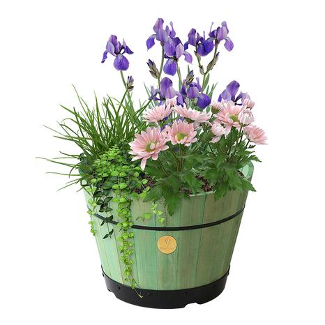 Build A Barrel by VegTrug, Small 37cm, Sage Green