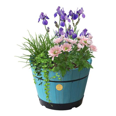 Build A Barrel by VegTrug, Small 37cm, Powder Blue