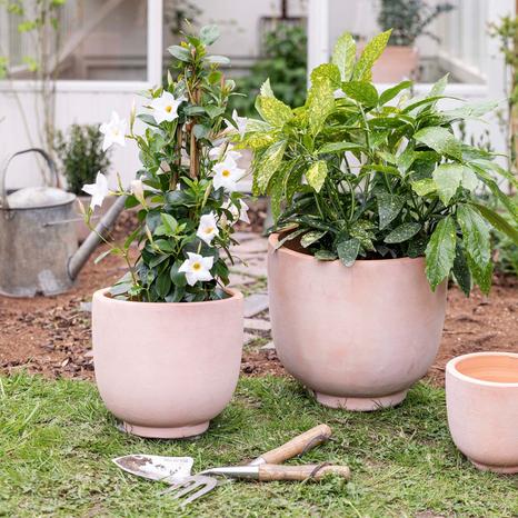 Cartmel Terracotta Planter, Set of 3