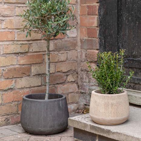 Hidcote Teracotta Planter, Set of 3