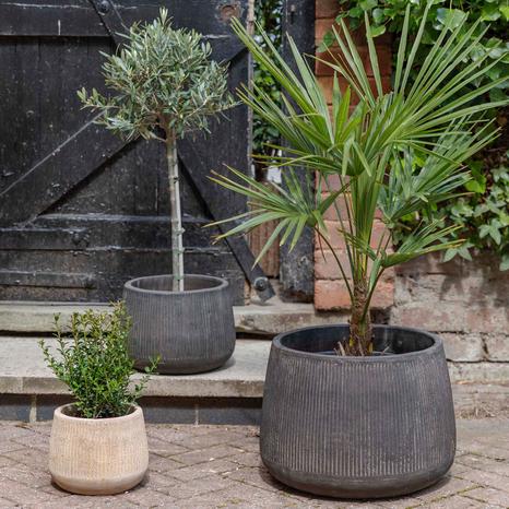Hidcote Black Teracotta Planter, Set of 3