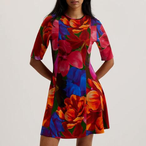 Blue Vverity Dress