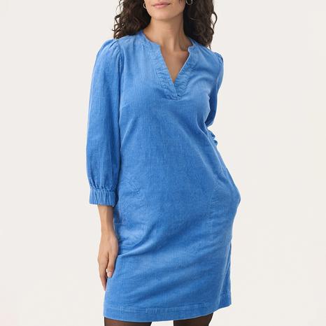 Blue Bonnet Ramita Mini Dress
