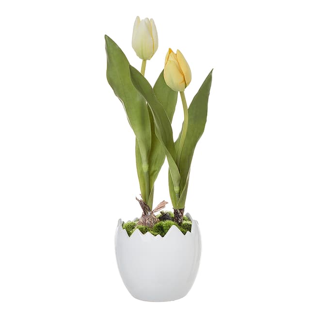Sia Yellow/Green Potted Tulips 38cm