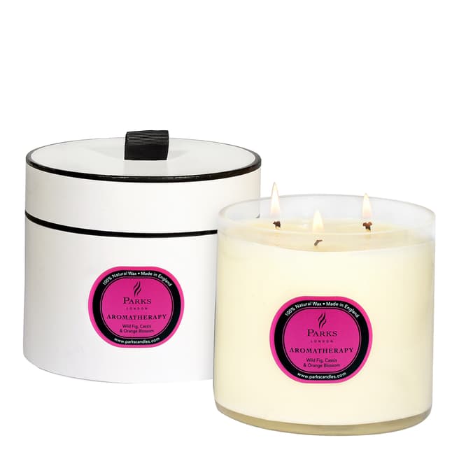 Parks London Wild Fig/Cassis/Orange Blossom Aromatherapy Three Wick Candle