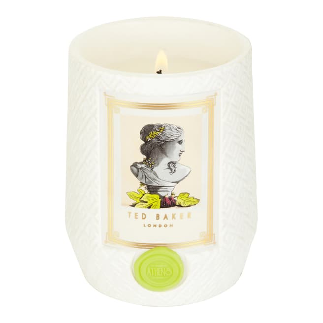 Ted Baker Fig And Olive Blossom Athens Residence Scented Candle