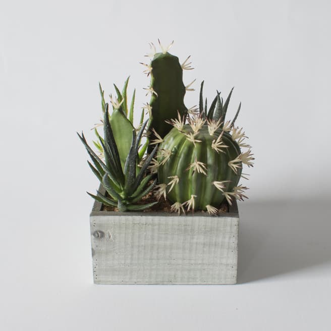 Gallery Living Green Faux Cacti In Wood Crate