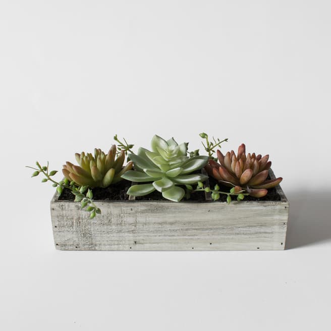 Gallery Living Green Faux Succulent Trio In Wood Crate