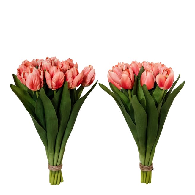 Sia Tulip Bundle H30cm