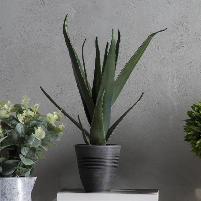 Gallery Living Green/Grey Faux Aloe Plant