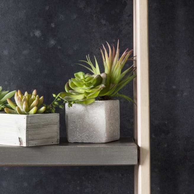 Gallery Living Green/Multi Faux Succulents In Square Stone Planter