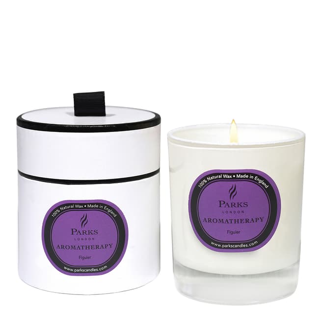 Parks London Fig Aromatherapy Single Wick Candle