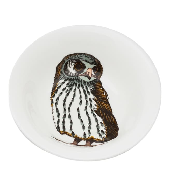 Jersey Pottery Set of 6 Faunus Owl Cereal Bowls