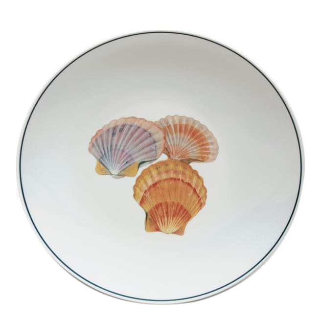 Jersey Pottery Set of 4 Scallop Seaflower Dinner Plates