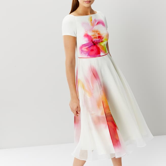 Coast White/Pink/Floral De Mores Midi Dress