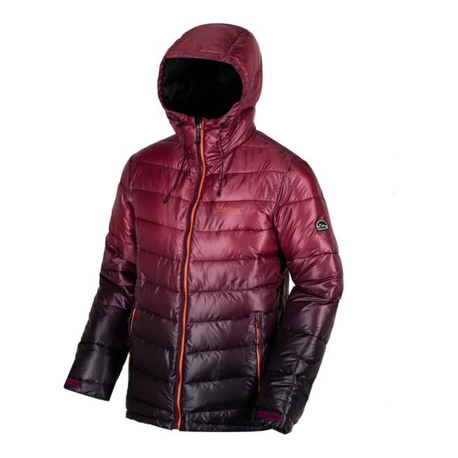 Regatta Spiced Mulberry Icebound III Jacket