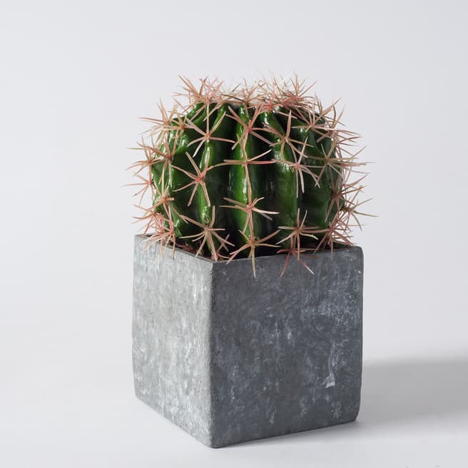 Gallery Living Faux Ball Cactus In Concrete Effect Cube