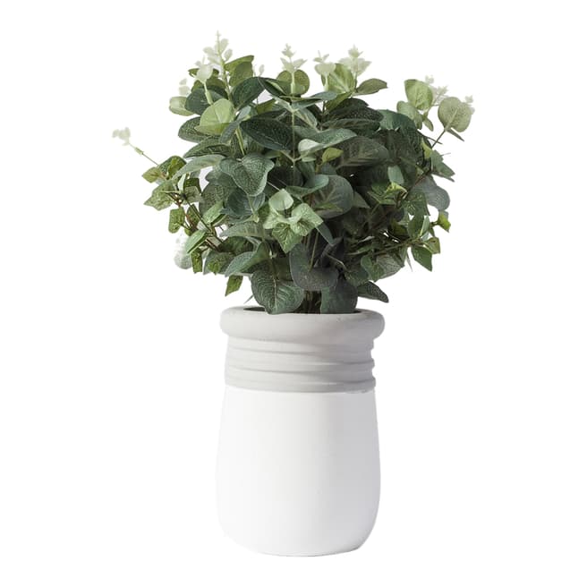 Gallery Living Faux Eucalyptus In White/Grey Pot