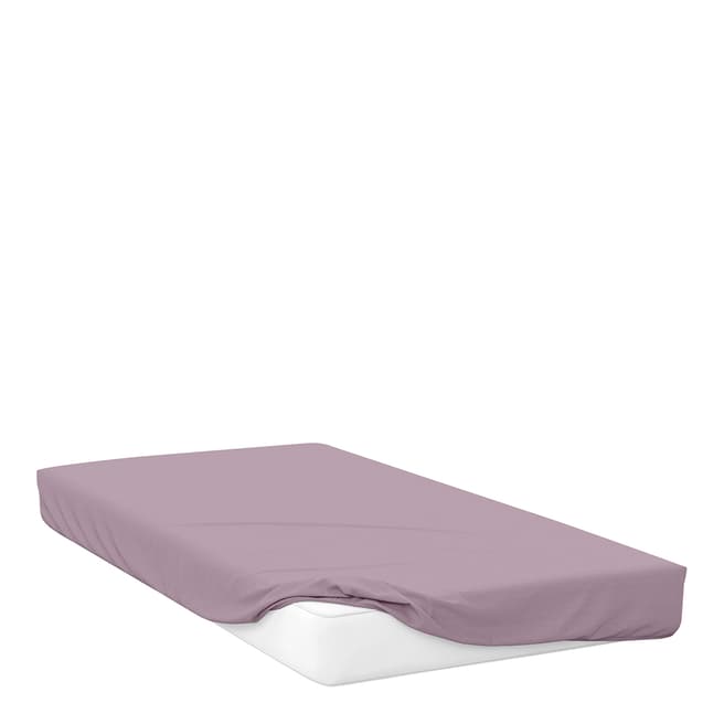 Belledorm 400TC Premium King Fitted Sheet, Mulberry