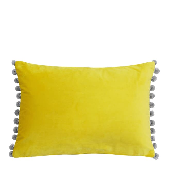 Riva Home Mimosa/Silver Fiesta Cushion, 35x50cm
