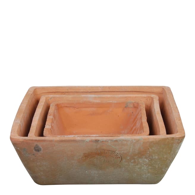 Fallen Fruits Aged Terracotta Set of 3 Square Planters