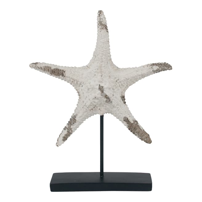Pacific White Starfish Ornament