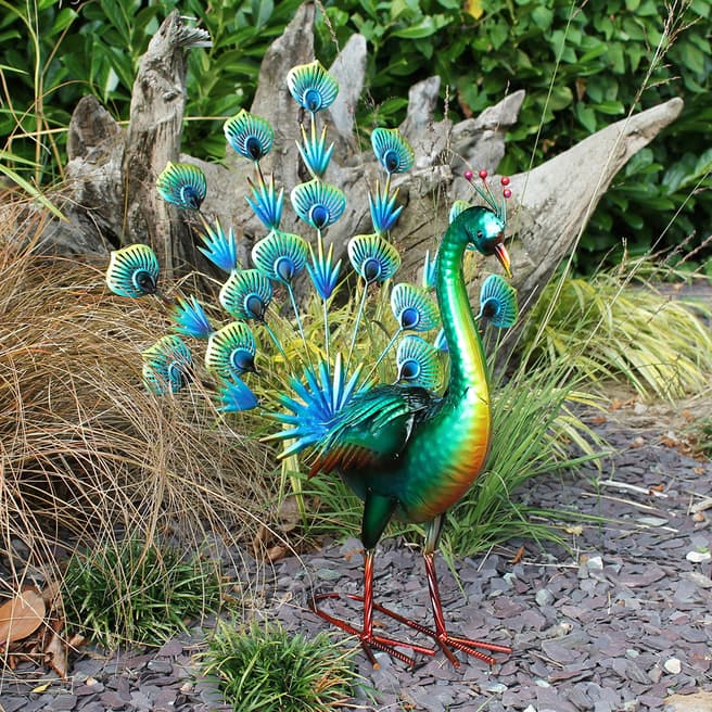 Creekwood Green Peacock
