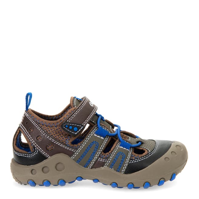 Geox Brown/Royal Blue J Sandals