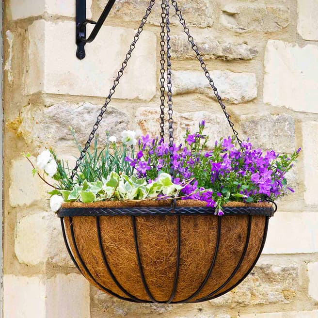 Smart Garden Saxon Hanging Basket, 41cm