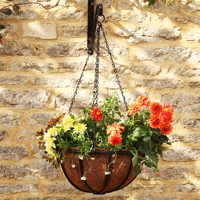 Smart Garden Forge Hanging Basket, 41cm