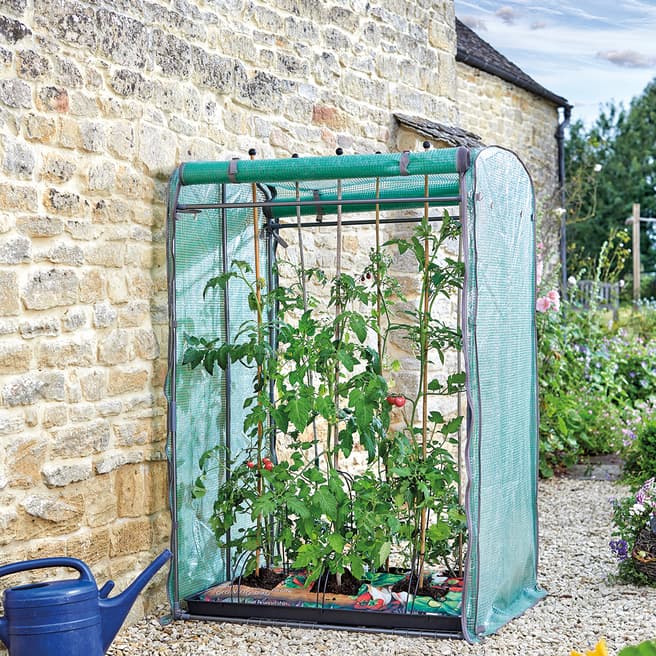 Smart Garden Tomato Gro-Zone Max