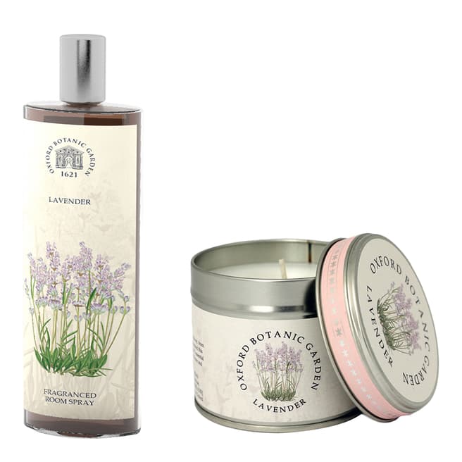Oxford Botanic Garden Lavender Room Spray & Tin Candle 200ml