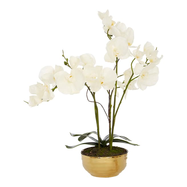 Premier Housewares White Orchid Plant with Gold Ceramic Pot