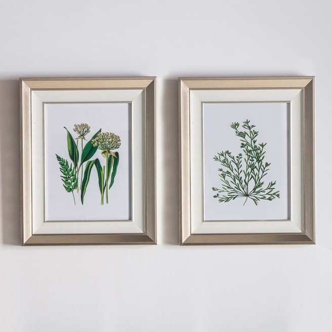 Gallery Living Set of 2 Botanical Spring I Framed Art 45x55cm