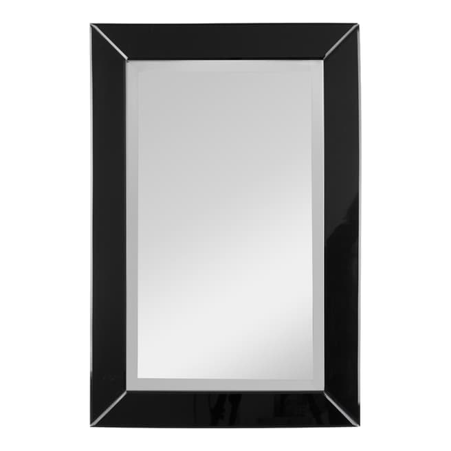 Fifty Five South Black Frame Orchid Wall Mirror 51x76cm