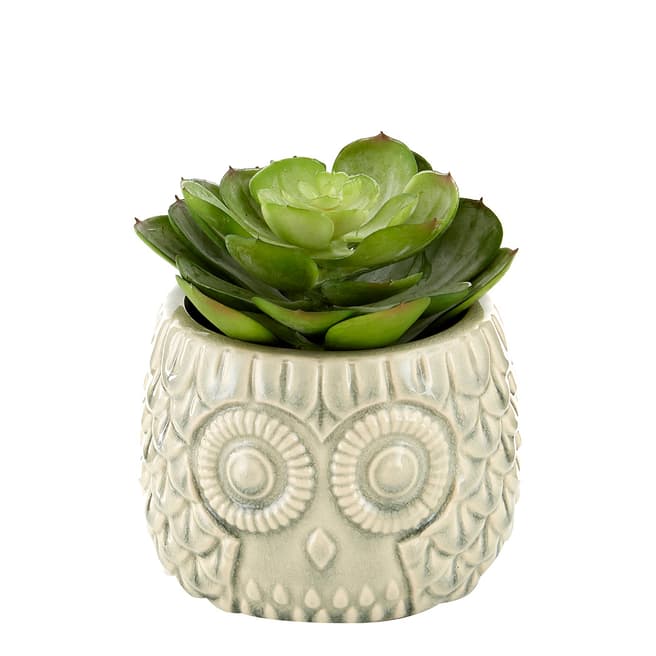 Premier Housewares Fiori Large Succulent in Grey Ceramic Owl Pot