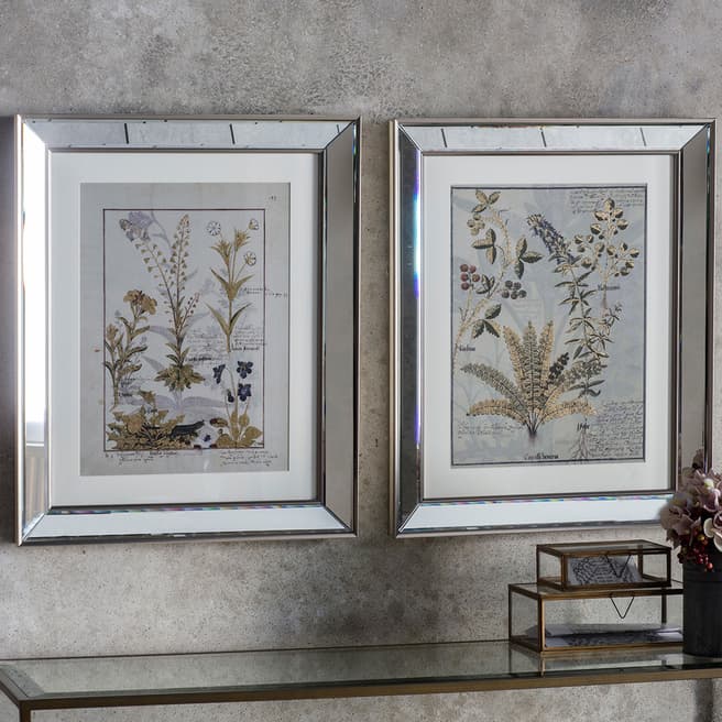 Gallery Living Set of 2 Botanica Floral I 48x58cm Framed Art