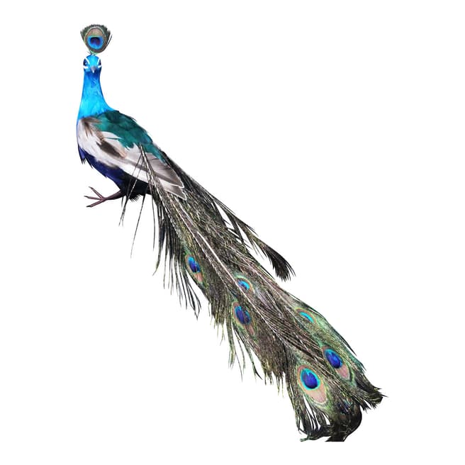 Gisela Graham Giant Feather Peacock Ornament