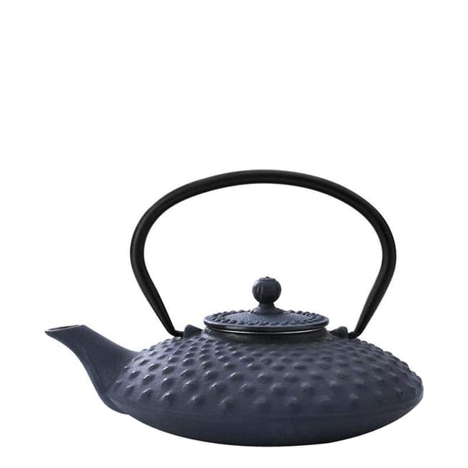 Bredemeijier Blue Xilin Cast Iron Teapot with Filter 0.8L