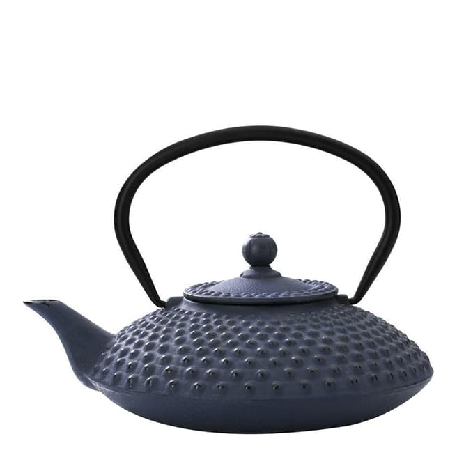Bredemeijier Blue Xilin Cast Iron Teapot with Filter 1.2L