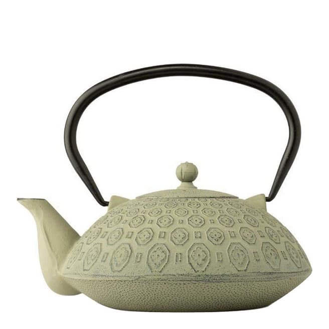 Bredemeijier Green Yinan Cast Iron Teapot with Filter 1.2L