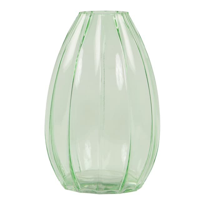 Sass & Belle Green Tall Ribbed Botanical Vase