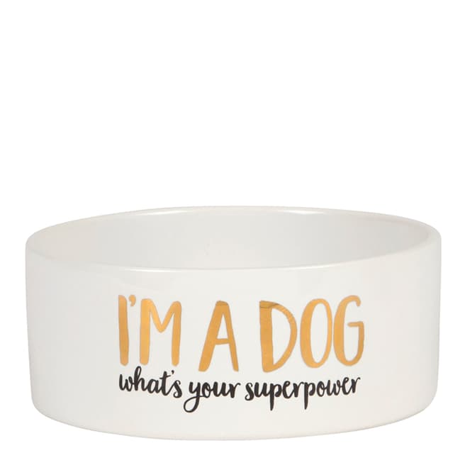 Sass & Belle I'm A Dog, What's Your Superpower Bowl